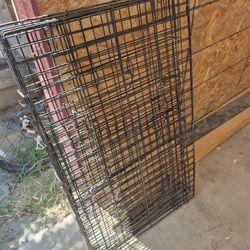 Medium Size Kennel