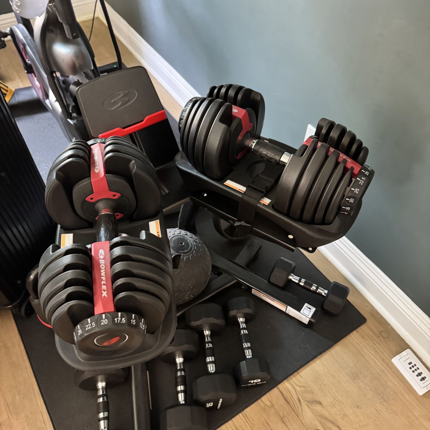 Bowflex Weights and Stand