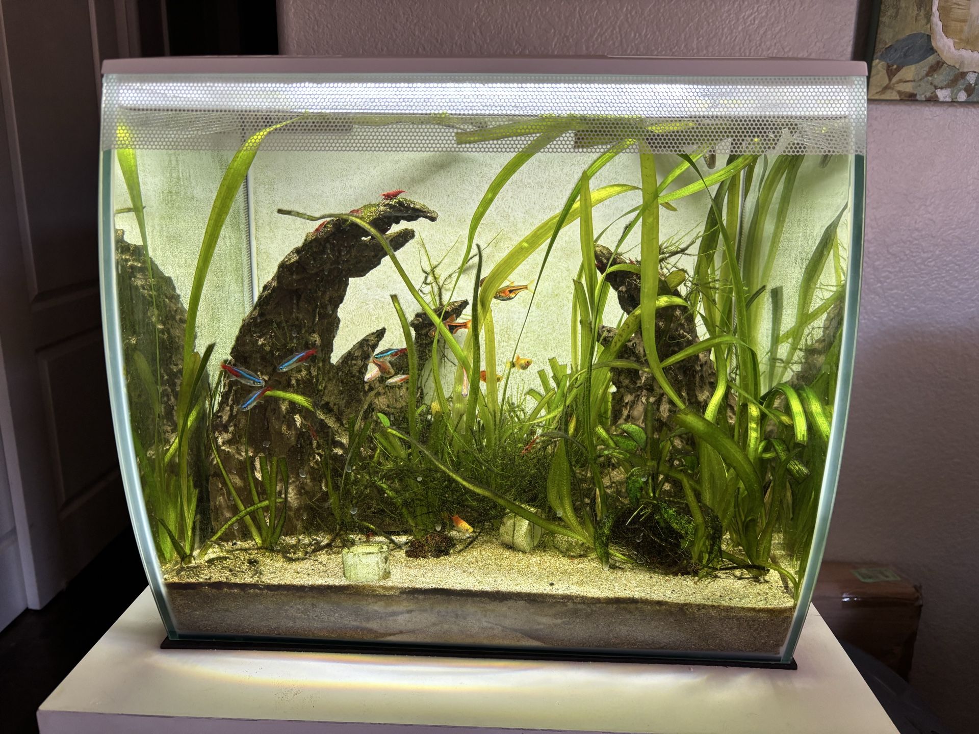 Fluvel 15 gallon Aquarium w/ stand