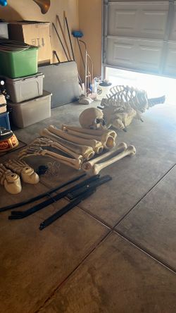12ft skeleton