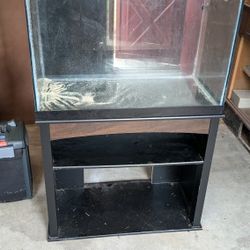 Fish Tank