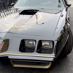 Custom Car Parts  Dents Paint