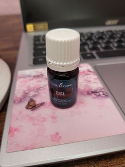 Tsuga essential oil