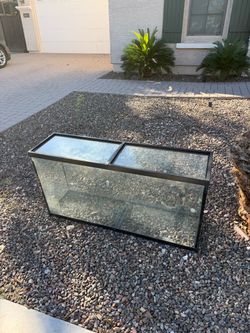Glass Terrarium
