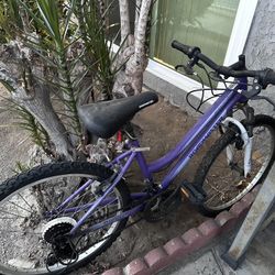 RoadMaster Mountain Bike 