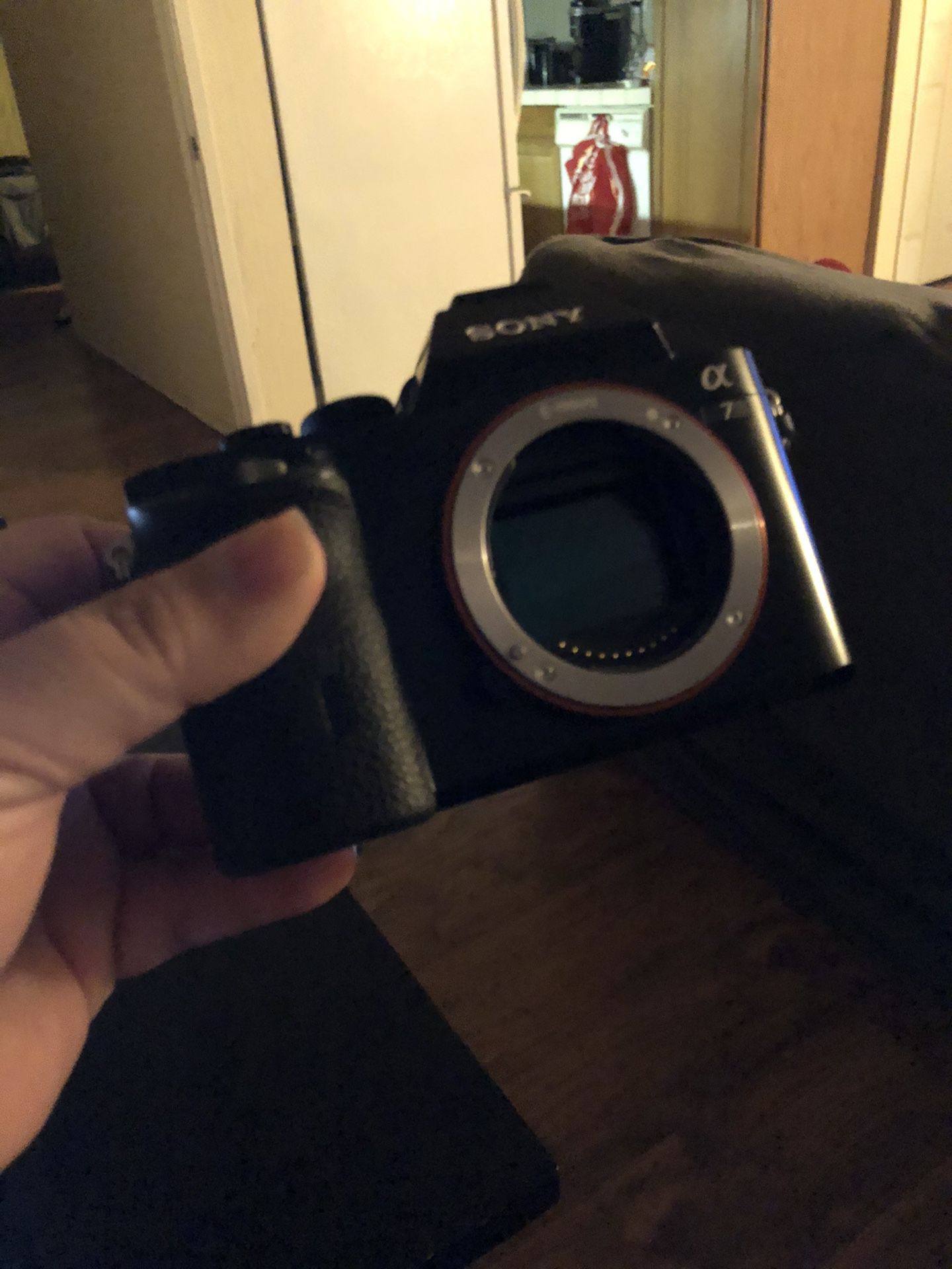 Sony A7 Series Body Only