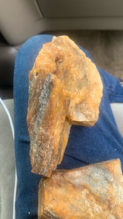 Petrified wood