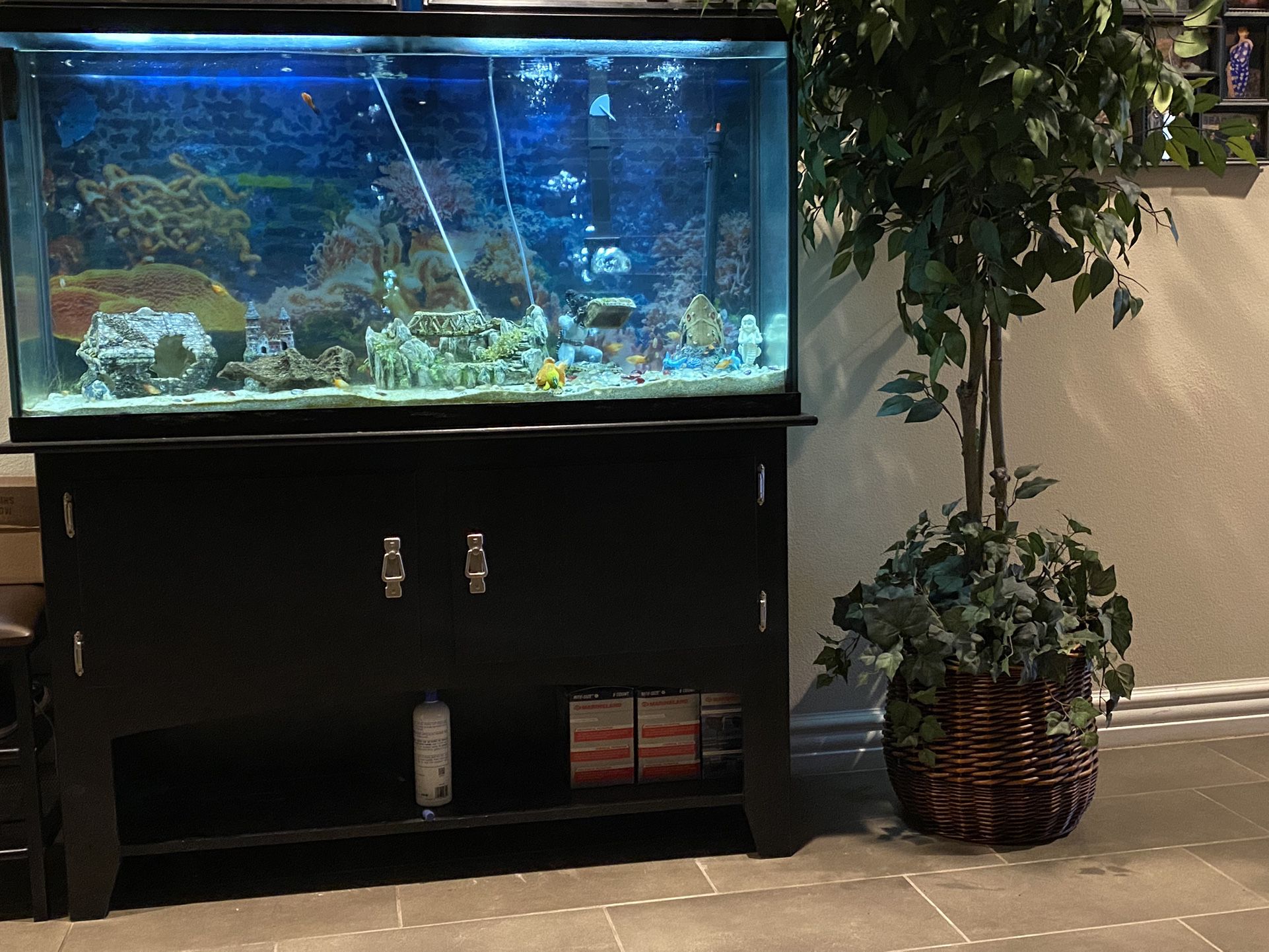 60 Gallons Fish Tank With Furniture 