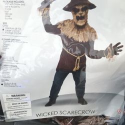 Halloween Costume Scary Scarecrow
