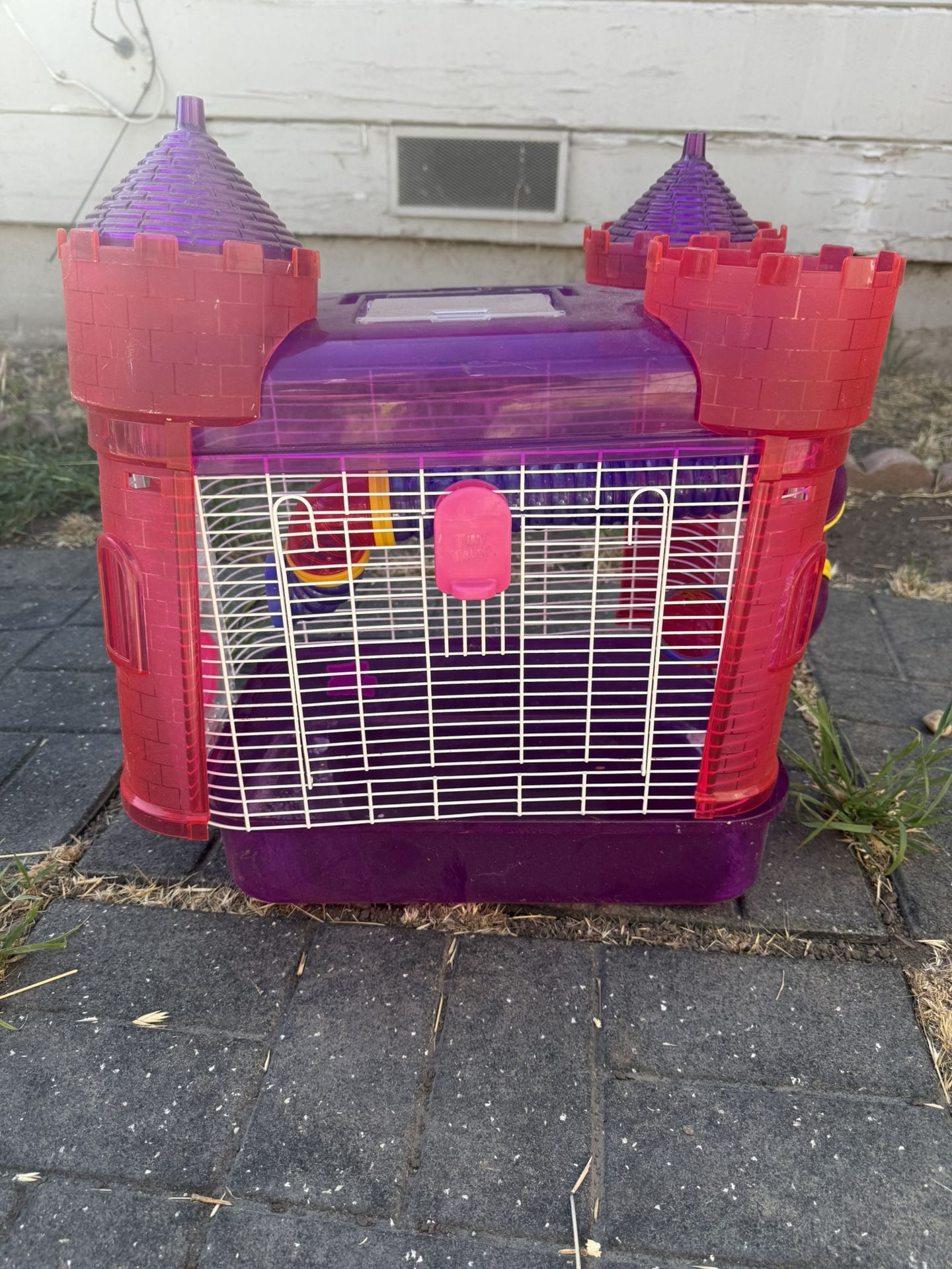 Hamste r , Guinea Pig
