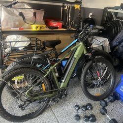 Electric Bikes