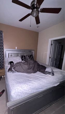 Bed