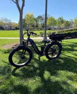 Freesky Wildcat e-bike