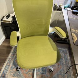 Ergonomic Desk Chair