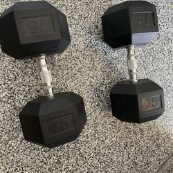 75 Lbs Dumbbell Set 