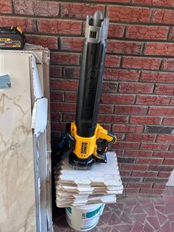 Dewalt blower