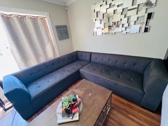 ZGallery 2 piece Couch