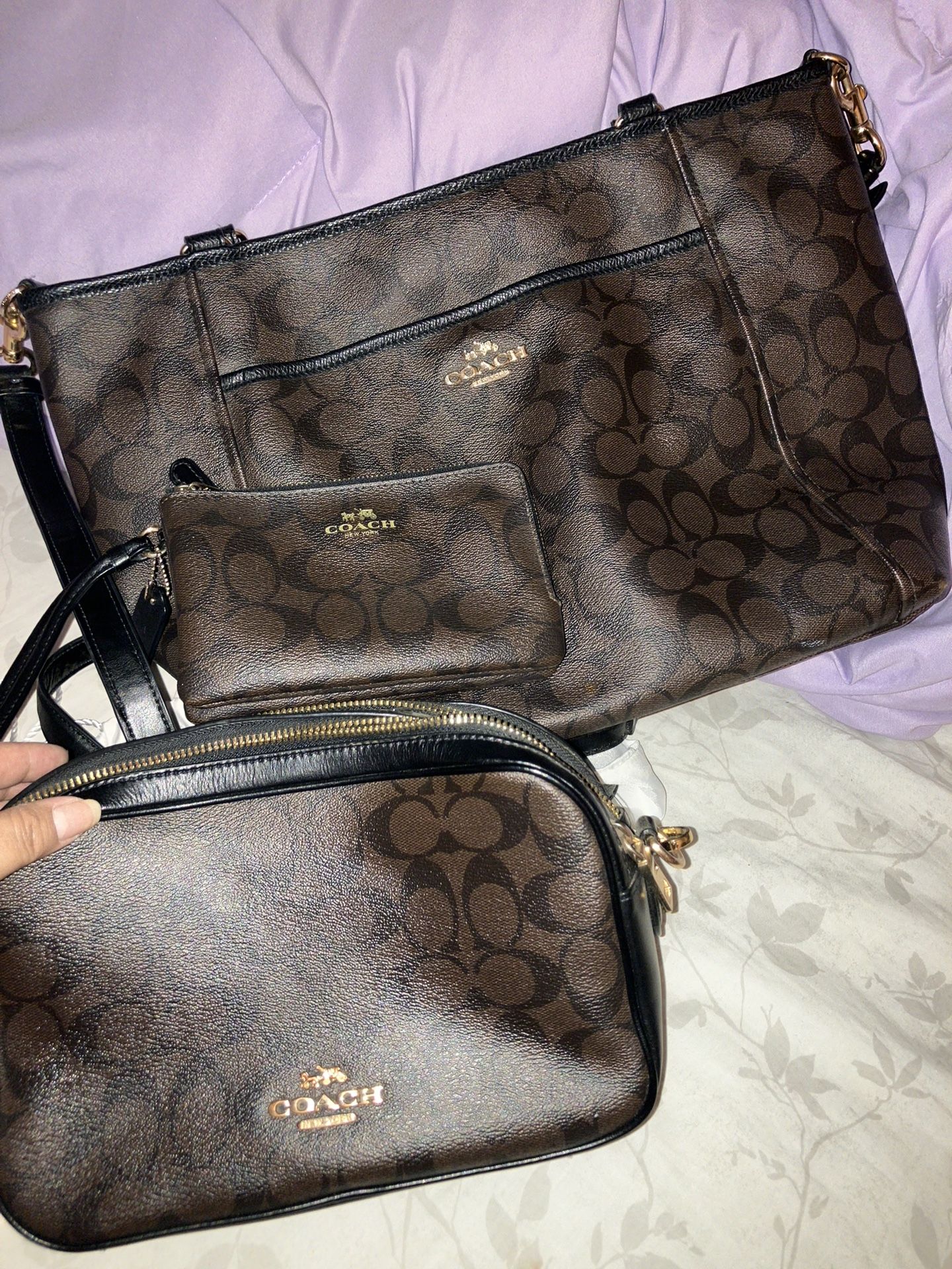 Coach Bag Set With Travel Bag $500 OBO