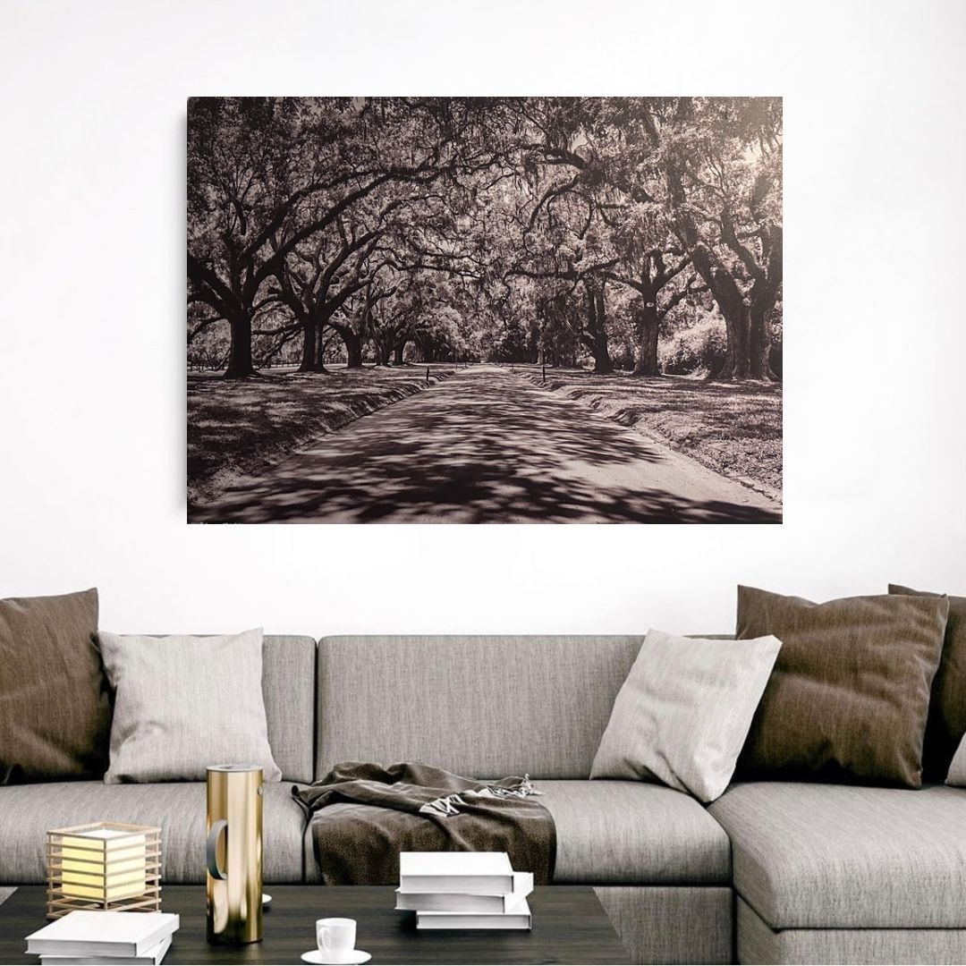 32*47 in / Tree‑Lined Road Canvas / Like New
