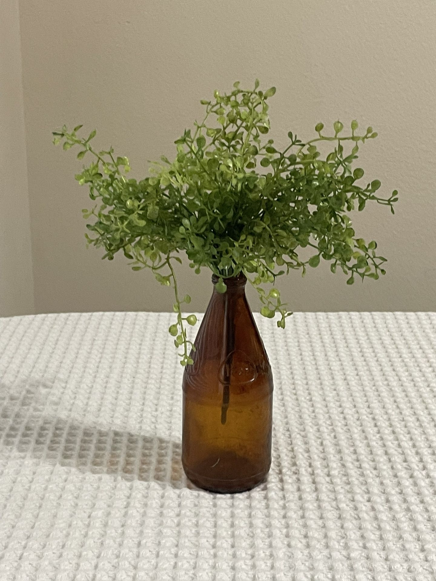 Antique / vintage pearl beer glass bottle with artificial succulent pant