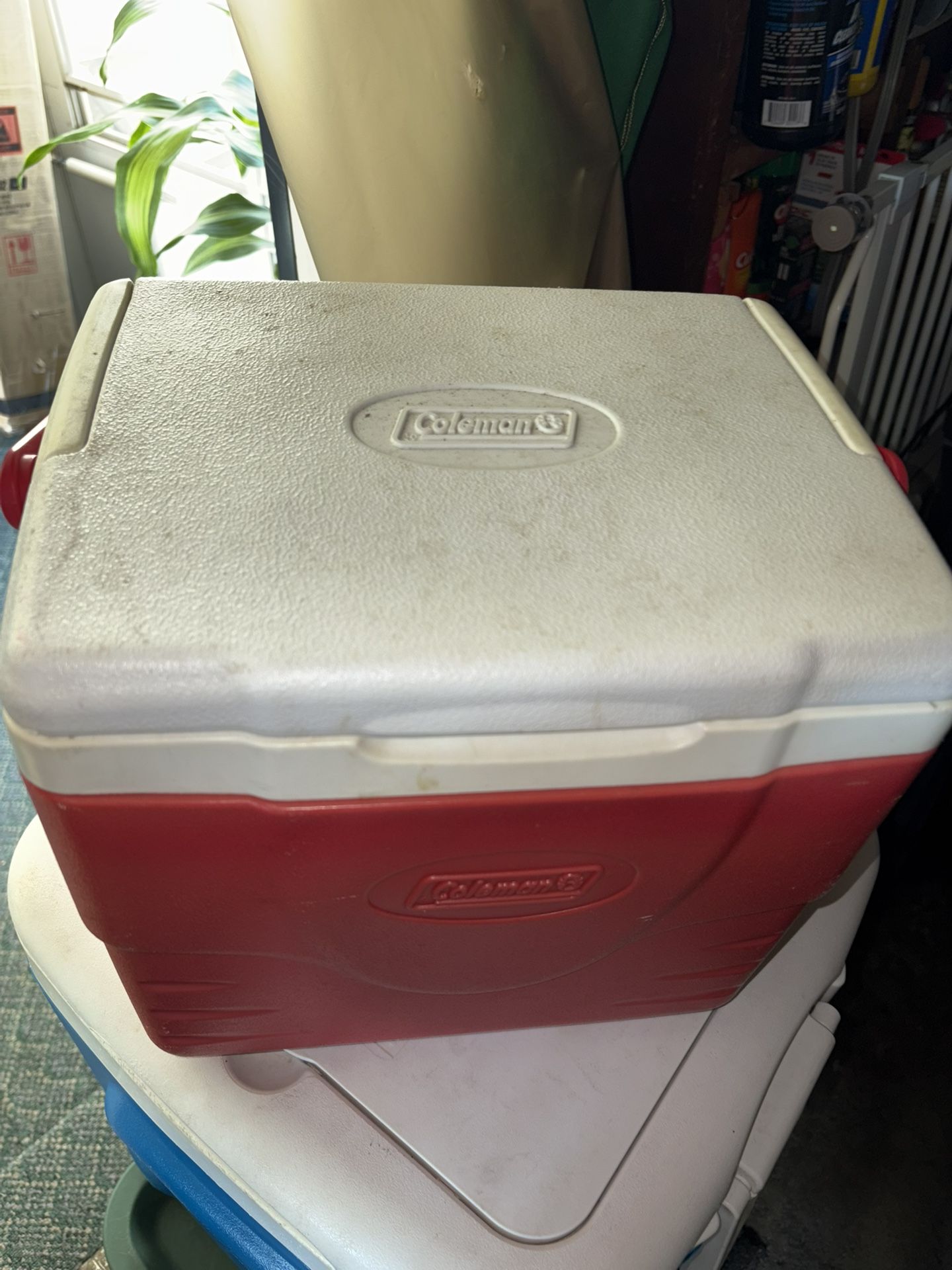 Cooler