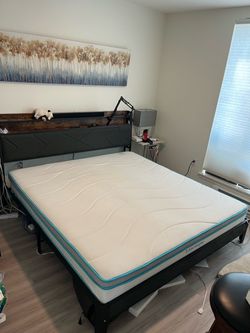Free Linenspa King Mattress