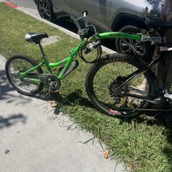 Co-pilot Bike Trailer $55