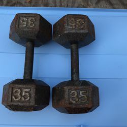 35 Lb Dumbbell Weights 