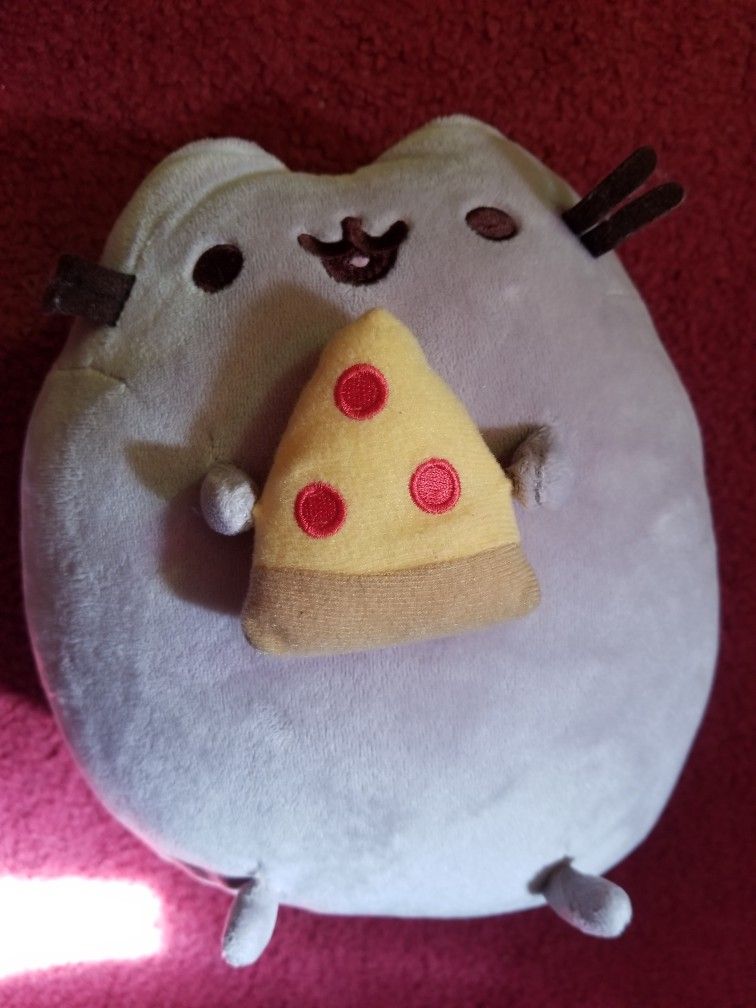 Pusheen Plushies 2 Of Them