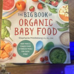 The Big Book of organic Baby Food 