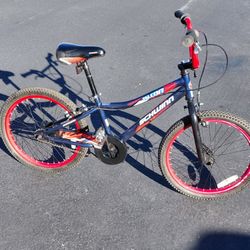 20 Inch Schwinn Falcon 