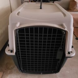 Pet Carrier