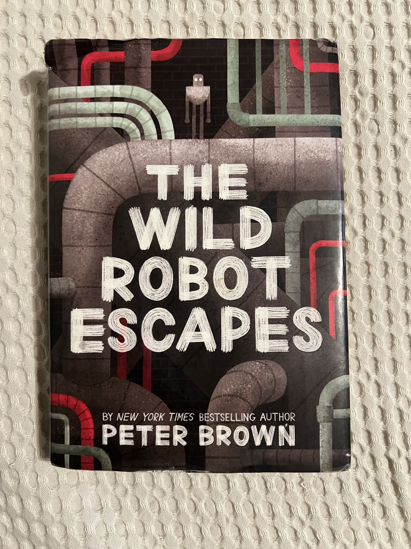 The Wild Robot Escapes Book