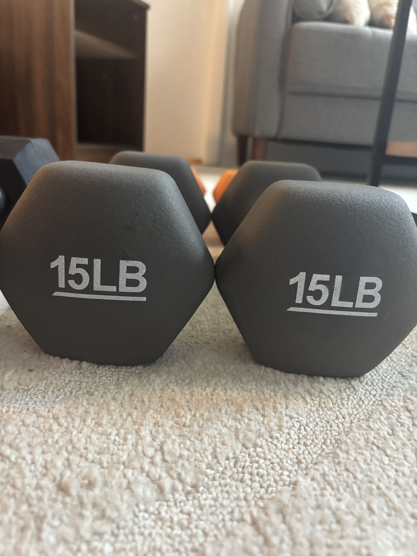 Dumbbell Set - 15lb, 8lb, 3lb