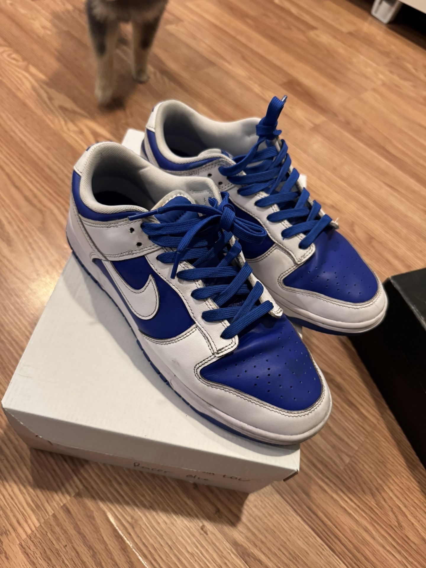 Nike Dunks 