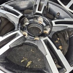 Rines 16 Exelente 👌 