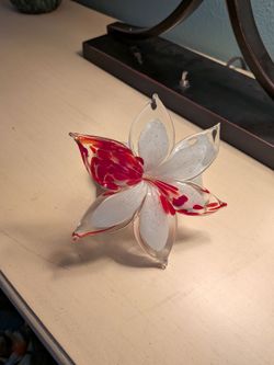 Beautiful Hawaiian flower from Honolulu
