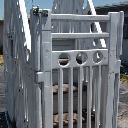 POOL LADDER W/GATE