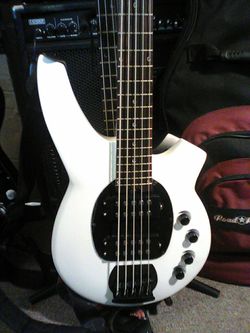 Banging Bass 5 string white + black serious in person desl