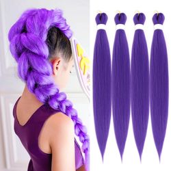 Rumi Huntrix K-Pop Purple Hair