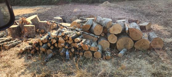 Free Fire Wood