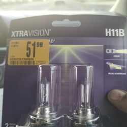Sylvester h11B