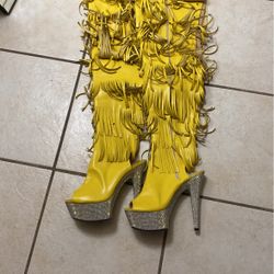 Stripper Boots 