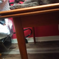 Vintage Danish Extendable Table Seats 12