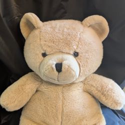 Teddy Bear 