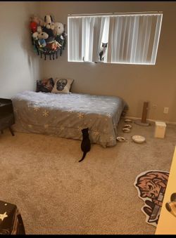 Full size mattress