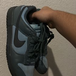 Nike dunks size 8.5 men’s