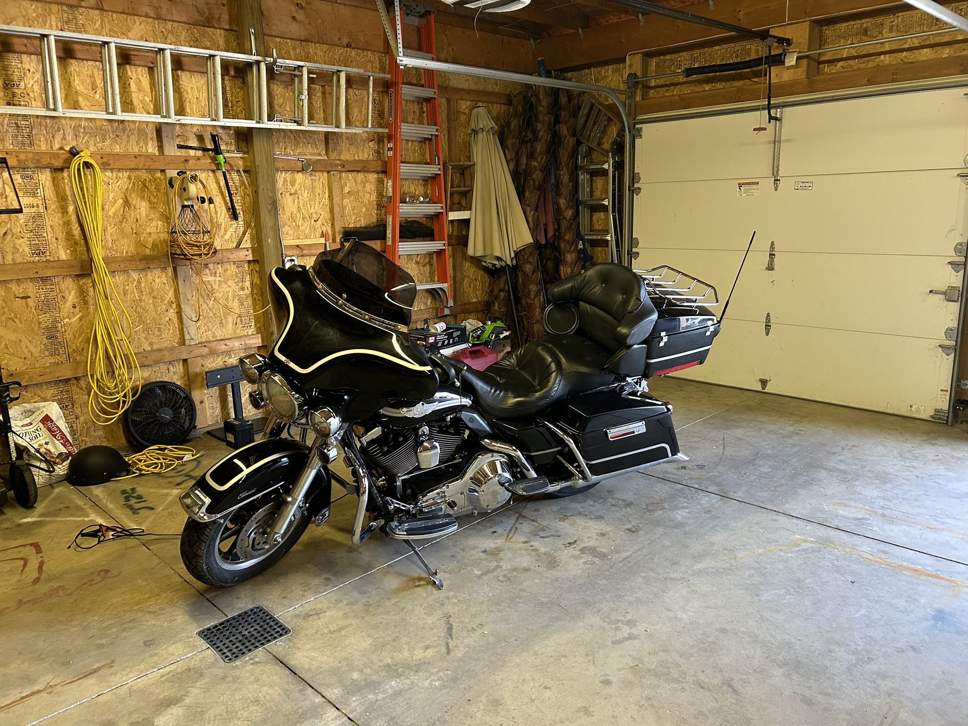 Harley Davidson For Sale