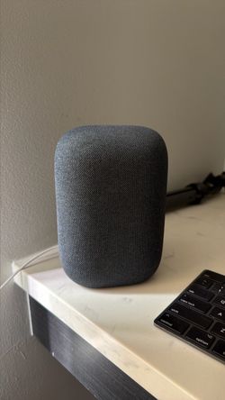 Nest Home Speaker