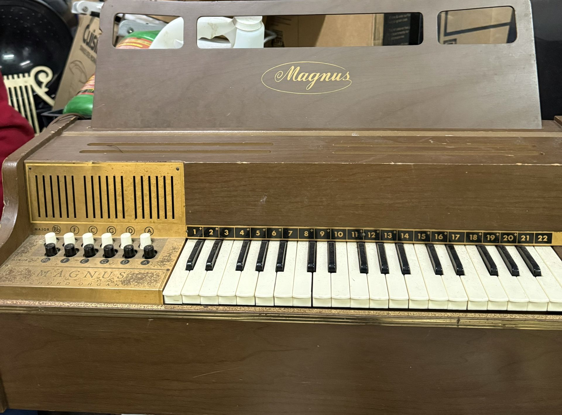 Magnus Chord Organ